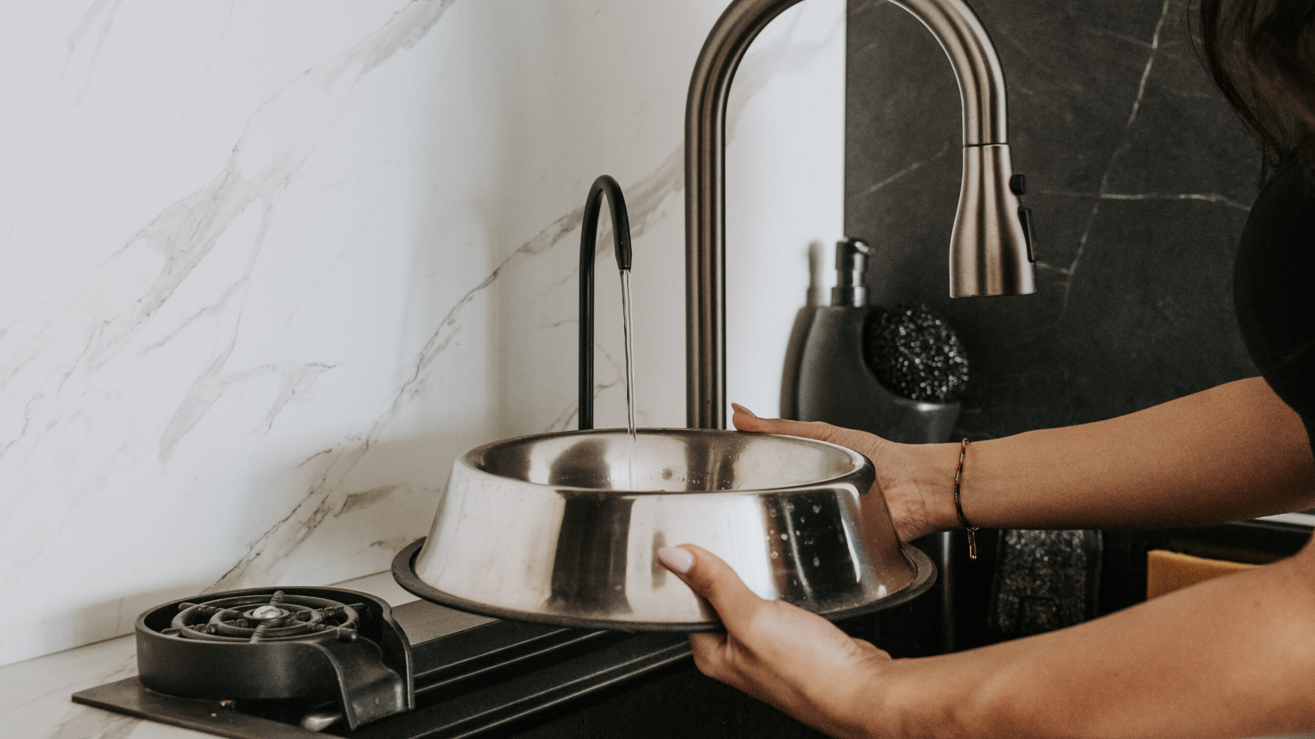 Pure8 Reverse Osmosis system tap filling a dog bowl with clean, filtered water